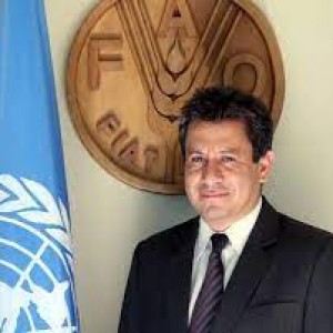 Jorge Meza